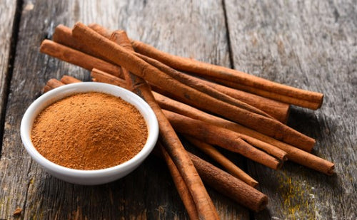 Dalchini / Twak /  Cinnamon (Cinnamomum verum)