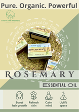 Load image into Gallery viewer, Rosemary Essential Oil