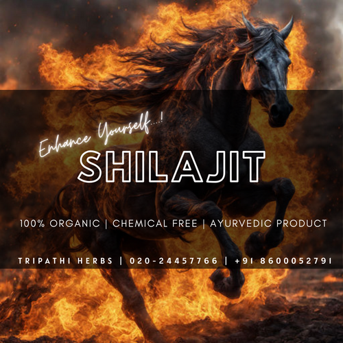 Shilajit (Asphaltum Punjabianum)