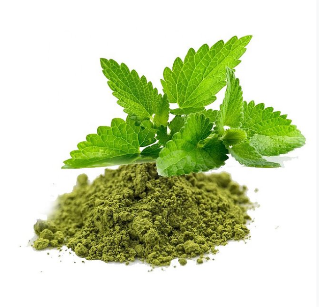 Tulsi Basil Leaf Leaves Ayurvedic Ayurveda Herbs Tripathi  Natural Churana